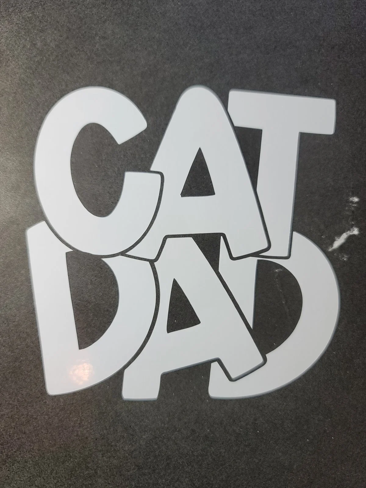 catdad2-jpg.1507