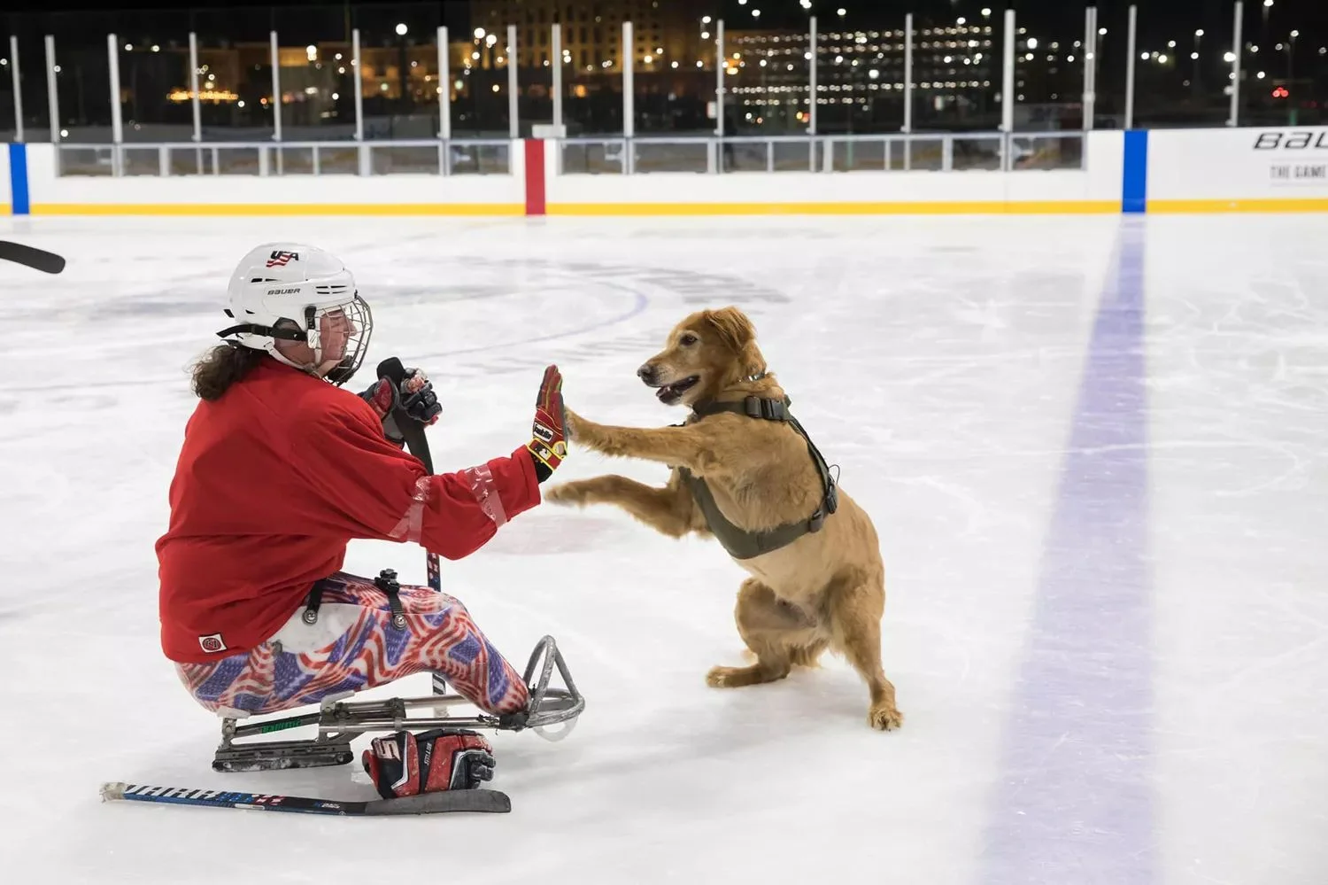  Army Veteran Christy Gardner trains service dogs for other veterans