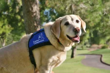 INTERNATIONAL ASSOCIATION OF ASSISTANCE DOG PARTNERS