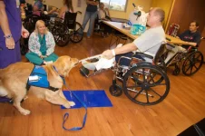 Educated Canines Assisting with Disabilities