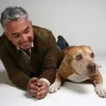 How to Stop Dog Barking! (Cesar911 Shorts)