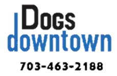 dogsDowntownVa.webp