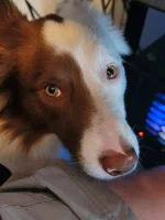 20230308_093653.webp
