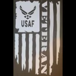 USAFVetFlag.webp