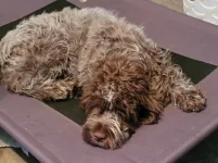 First Backyard Bath