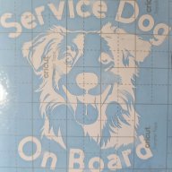 Service Dog On Board