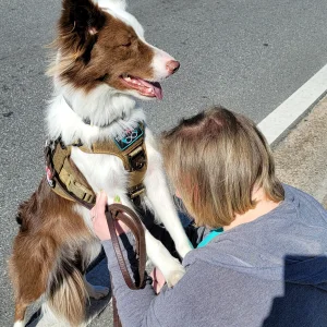 Waiting on the Parade