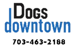 DogsDowntown.webp