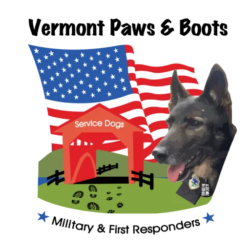 VT-Paws-and-Bots-logo-flag.webp