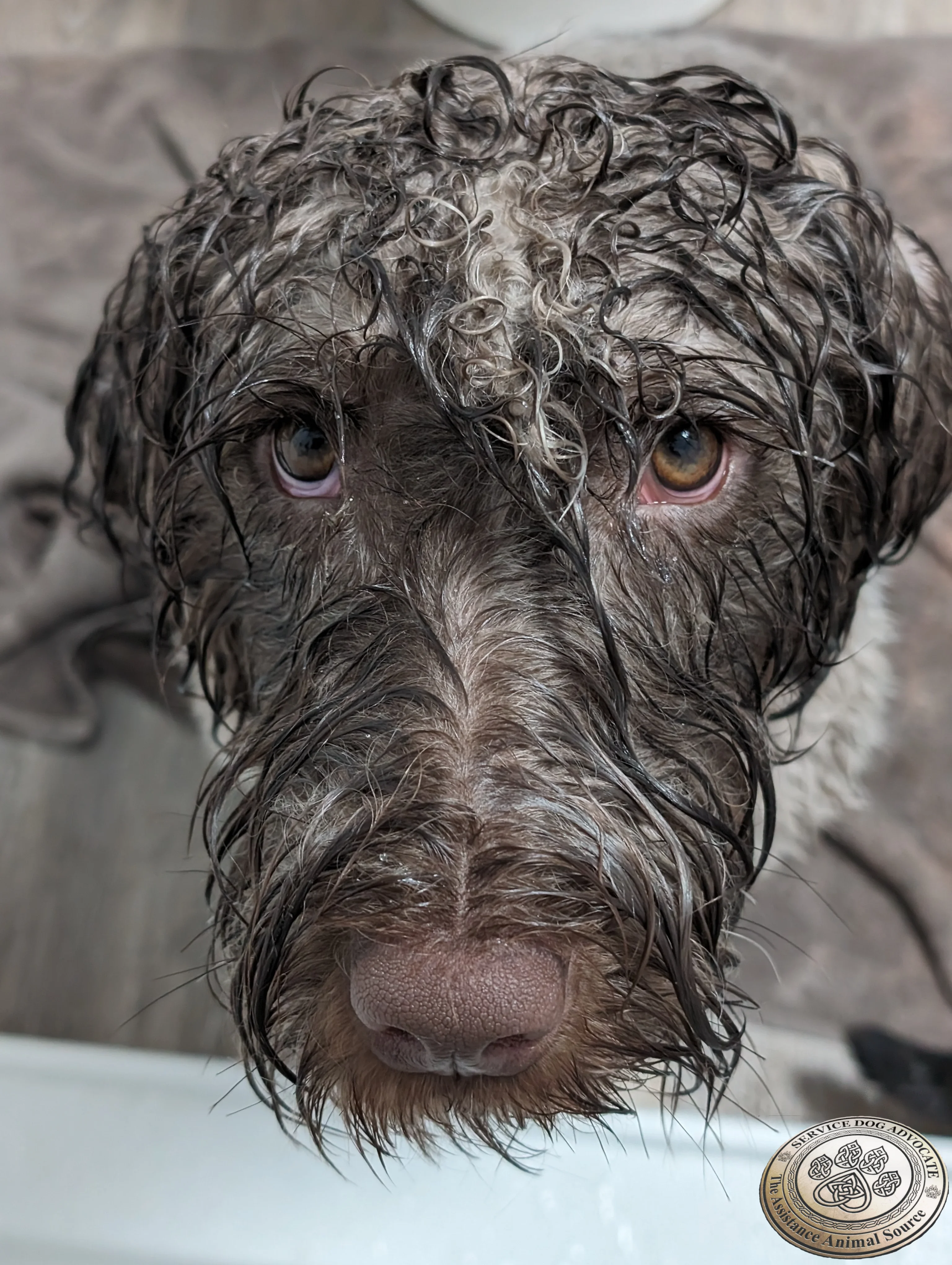 BathTime