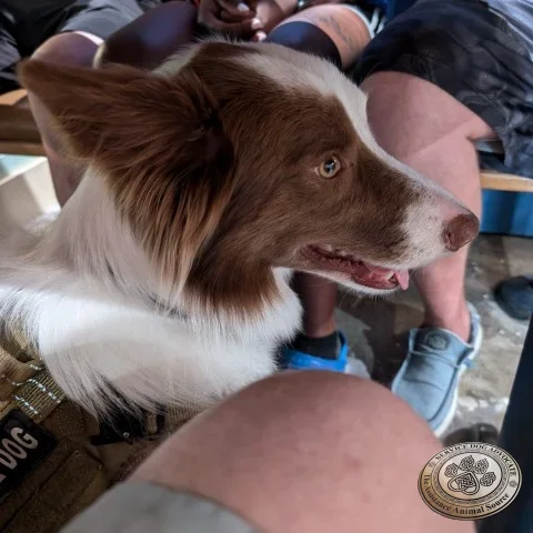 Under the Table